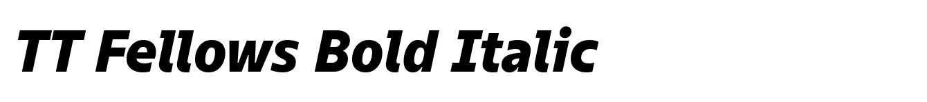 TT Fellows Bold Italic